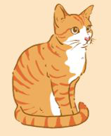 Đinh Mão